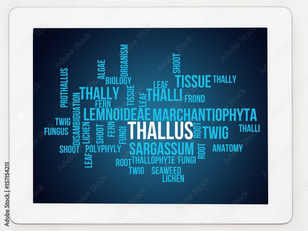 Thallus Thallus
