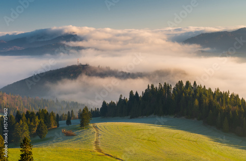 Fototapeta Naklejka Na Ścianę i Meble -  Morning panorama of Pieniny and Beskidy mountains, Poland landscape