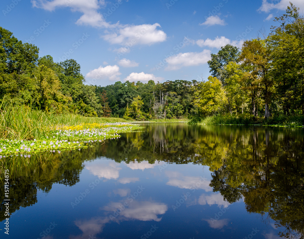 Obraz premium Bartholomew Reflections