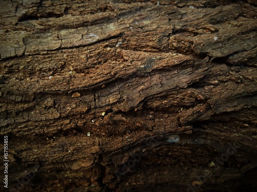 Wood Texture