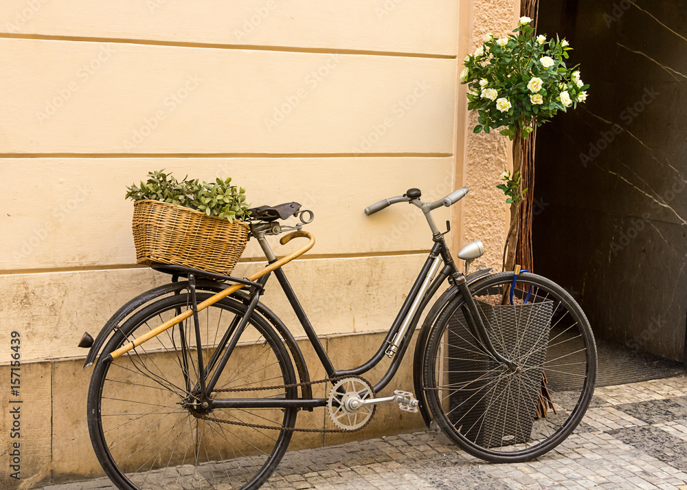 Old black bicycle wicker basket with green composition on the trunk leaning against the beige wall of the house