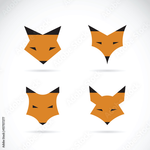 Vector of a fox face design on white background. wild Animals