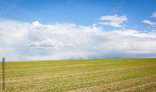 Grünes Feld und Himmel mit Wolken © Thomas George