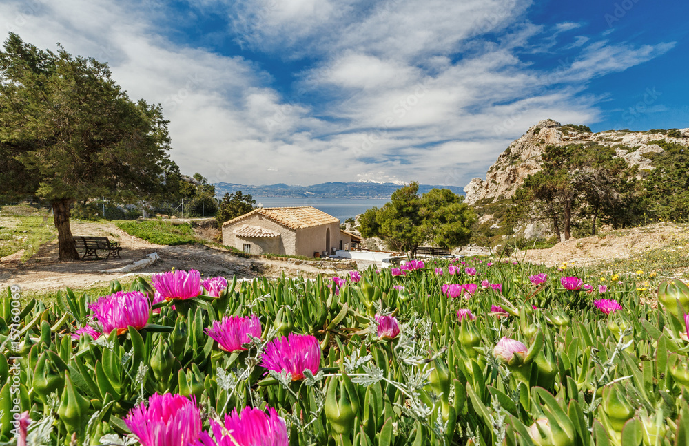 Blooming red flowers against mountains, sea and blue sky scenery. Faros Melagavi at cape Ireon, West Court of Heraion of Perachora in Greece, near Corinth ancient Greek city. Mediterranean sea. Blooming red flowers against mountains, sea and blue sky scenery. Faros Melagavi at cape Ireon, West Court of Heraion of Perachora in Greece, near Corinth ancient Greek city. Mediterranean sea.