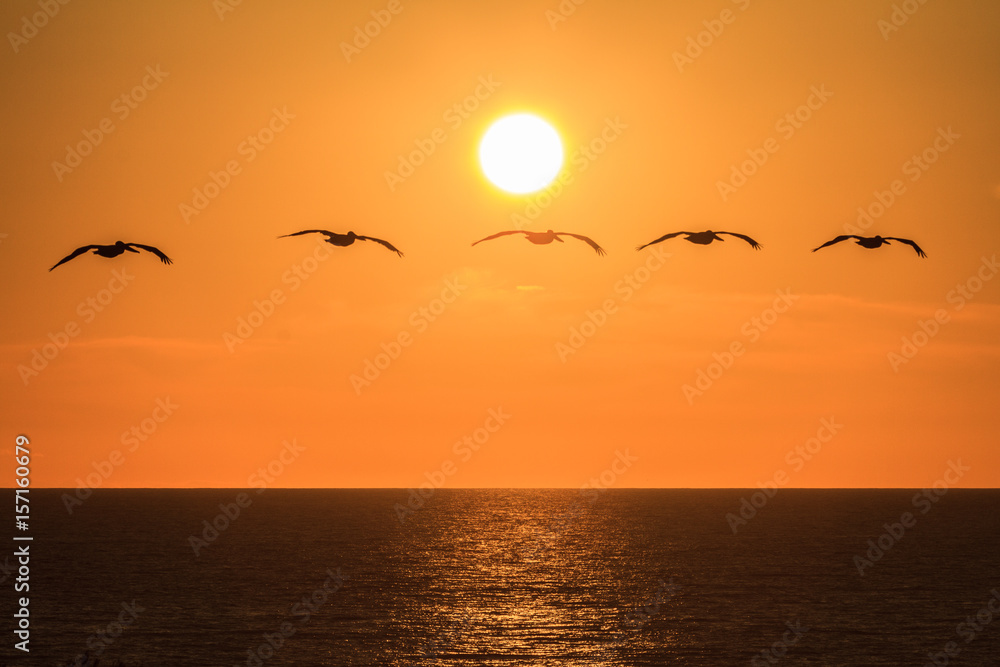 Obraz premium san diego sunset