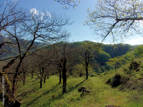 PAESAGGIO MONTANO CAMPANIA SUD ITALIA