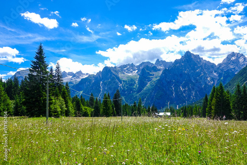 View of beautiful landscape with fresh green meadows, blooming flowers and snow-capped mountains background in summer