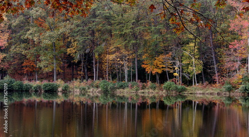 Fototapeta Naklejka Na Ścianę i Meble -  Autumn pond