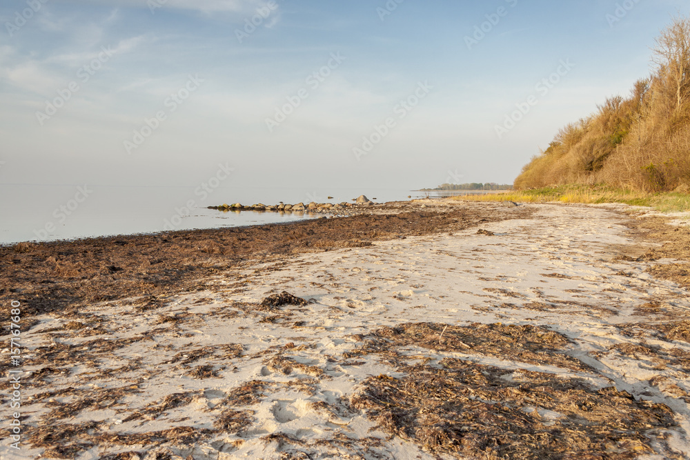 Beach - Augustenhof, Denmark. Beach - Augustenhof, Denmark.