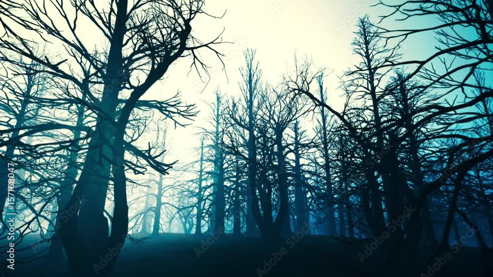 Dead Forest Misty Woods Cinematic Aerial Pullout 3D Animation Dead Forest Misty Woods Cinematic Aerial Pullout 3D Animation