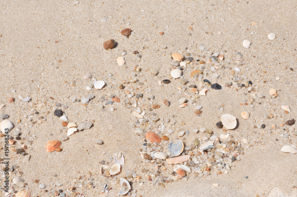natürlicher Strandsand - mit kleinem Treibgut - in intensivem Sonnenlicht eines heißen Sommertags
natürlicher Strandsand - mit kleinem Treibgut - in intensivem Sonnenlicht eines heißen Sommertags
