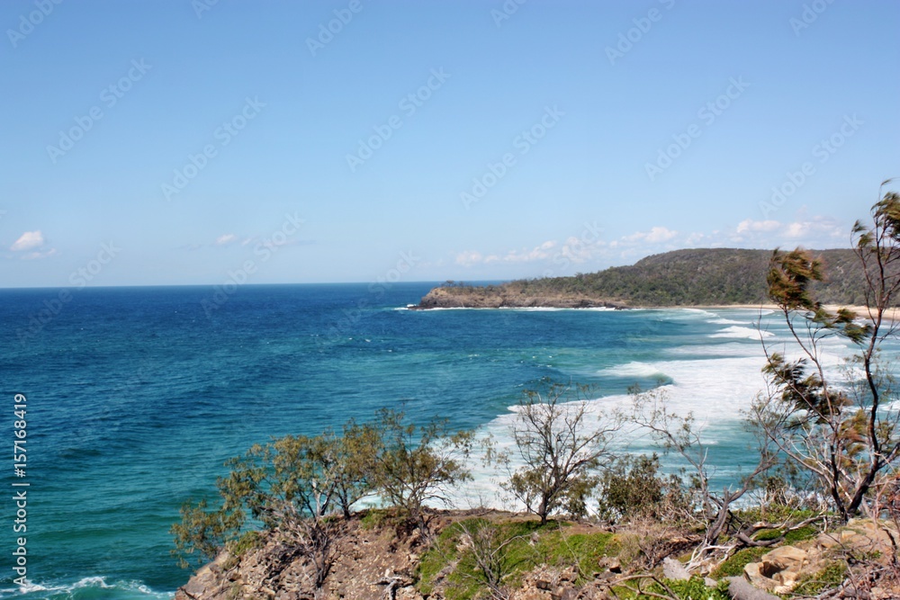 Naklejka premium Noosa National Park