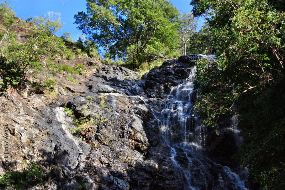 Obraz premium Waterfall in Kondalilla National Park