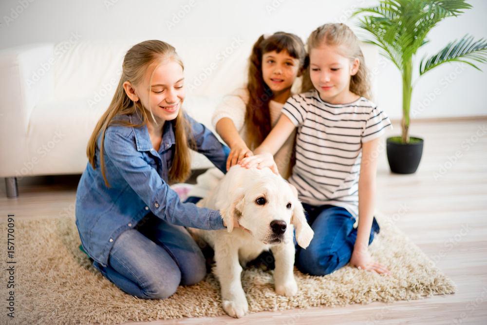 Children playing with a dog Children playing with a dog
