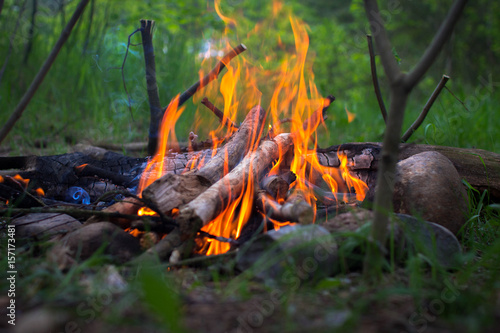 The fire in the forest