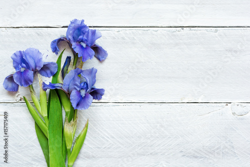 Fototapeta Naklejka Na Ścianę i Meble -  blue iris flowers over white wooden background
