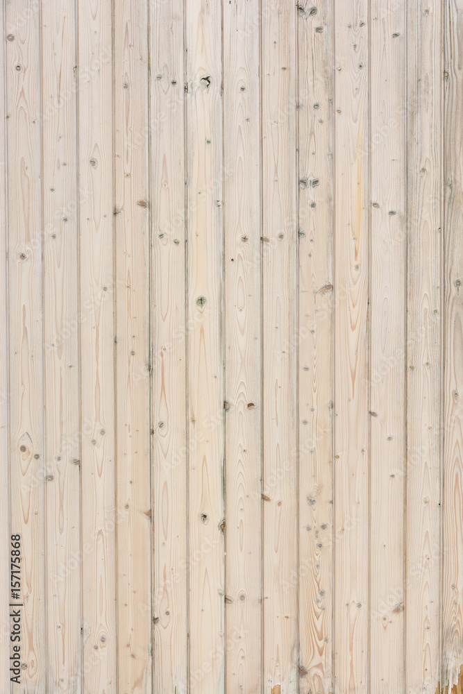 Fototapeta premium Wood texture