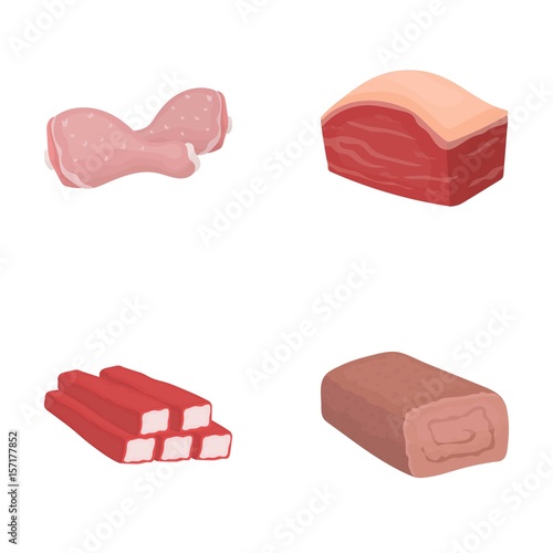 Chicken drumstick, podcherevina, crab sticks, meatloaf. Meat set collection icons in cartoon style vector symbol stock illustration web.