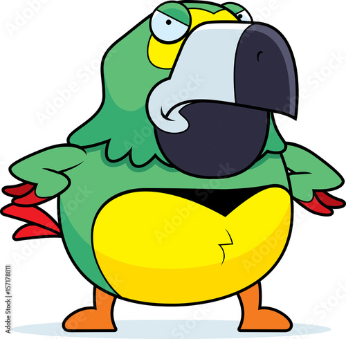 Angry Cartoon Parrot