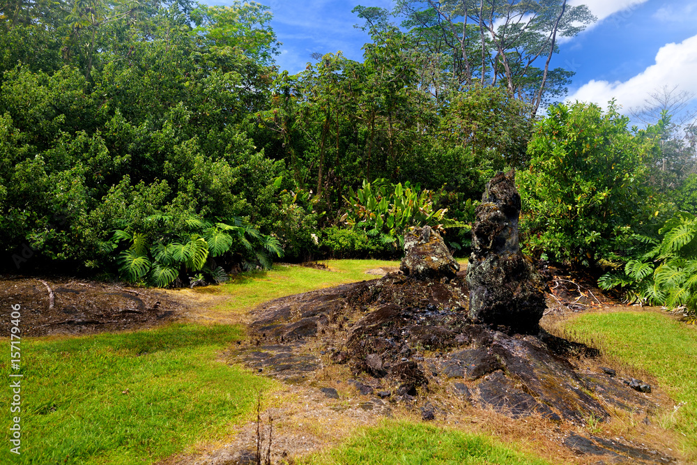 Lava molds of the tree trunks that were formed when a lava flow swept
