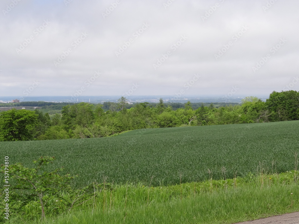 Obraz premium 自然