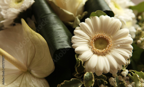 margerite matage de bouquet floral