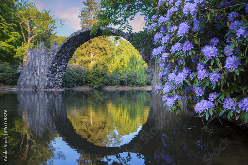 Flowering rhododendrons in a park in Kromlau, Saxony, Germany photo