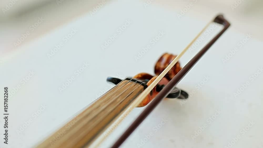 Violin Violin