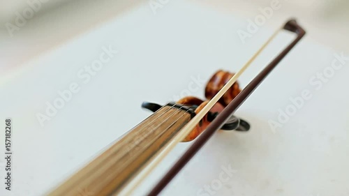 Violin