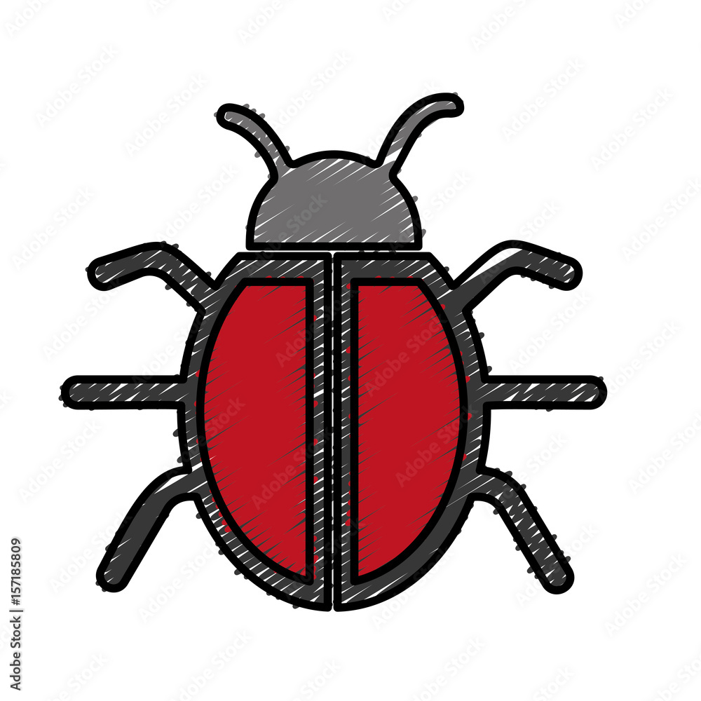bug icon over white background. vector illustration bug icon over white background. vector illustration
