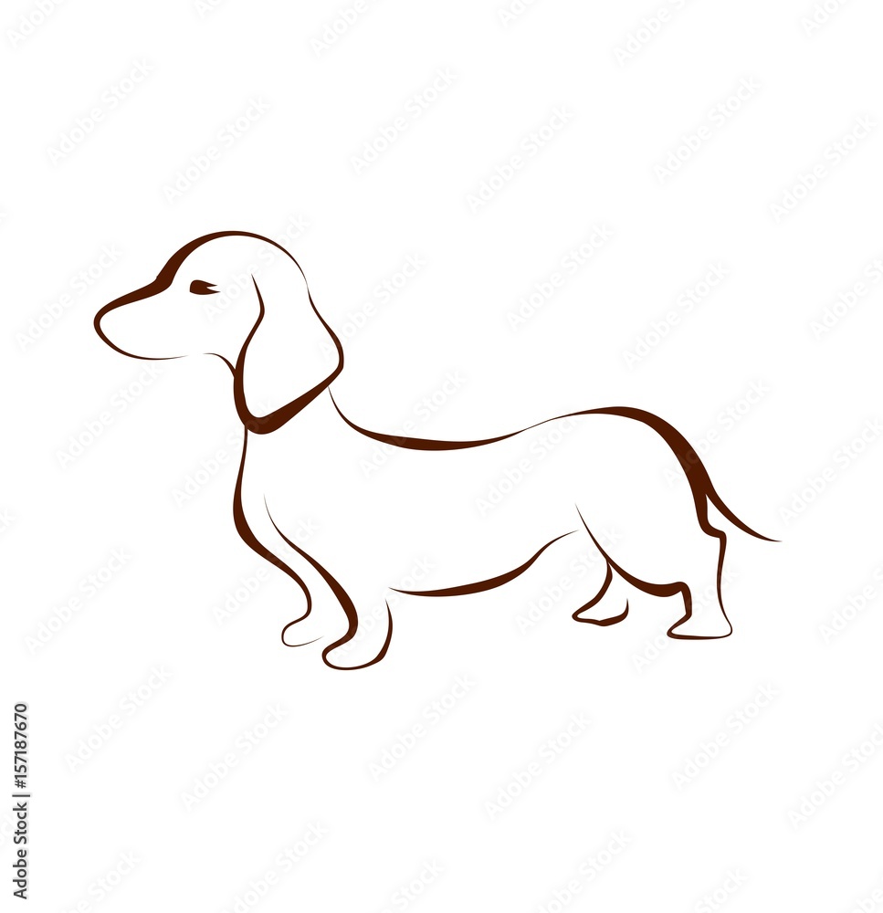 Brown dachshund drawing silhouette