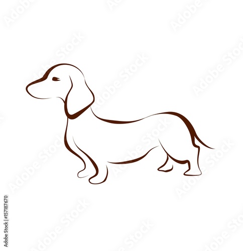 Brown dachshund drawing silhouette
