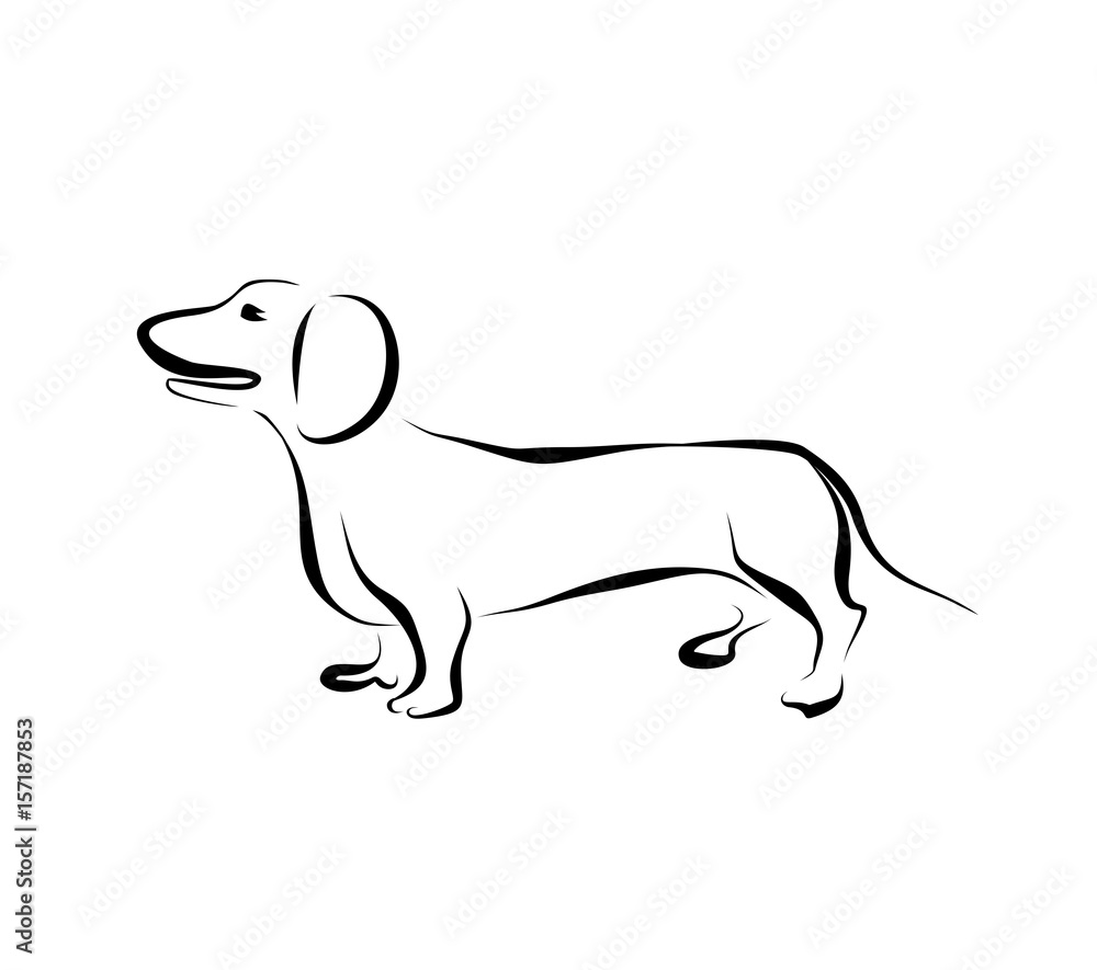 Drawing dachshund silhouette