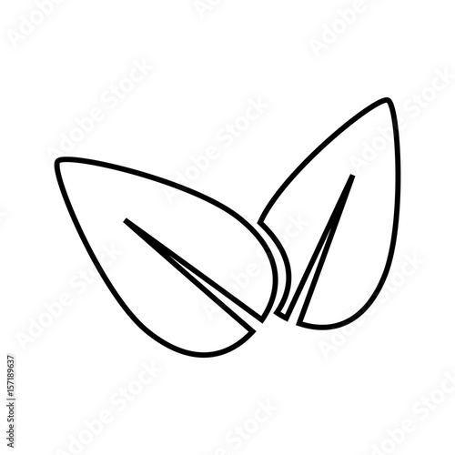 leaves icon over white background. vector illustration