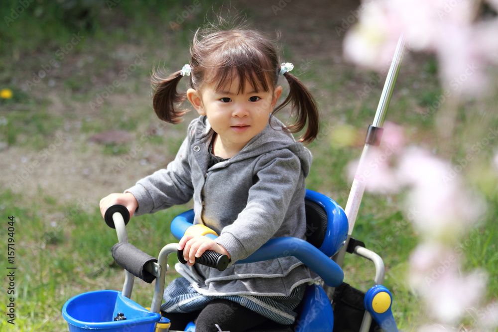 三輪車に乗る幼児(2歳児)と桜