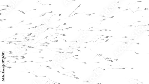 Many sperm cells. 3D rendered looping animation.