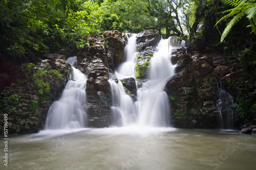 Fototapeta Naklejka Na Ścianę i Meble -  Fiji Waterfall