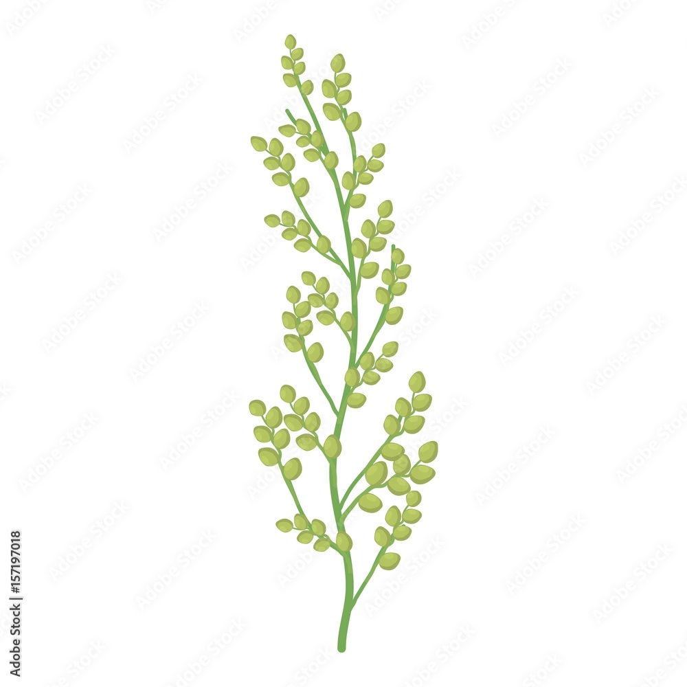 Fototapeta premium Millet icon, cartoon style