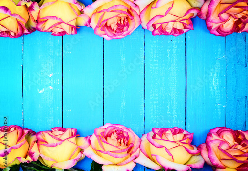  yellow roses on a blue wooden background