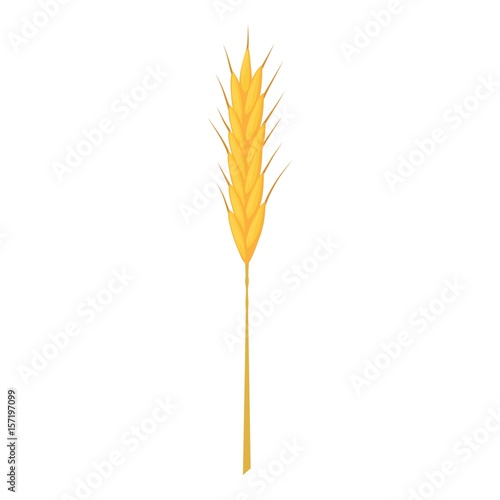 Wheat stalk icon, cartoon style