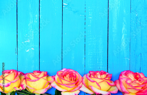 Five buds of yellow roses on a blue wooden background