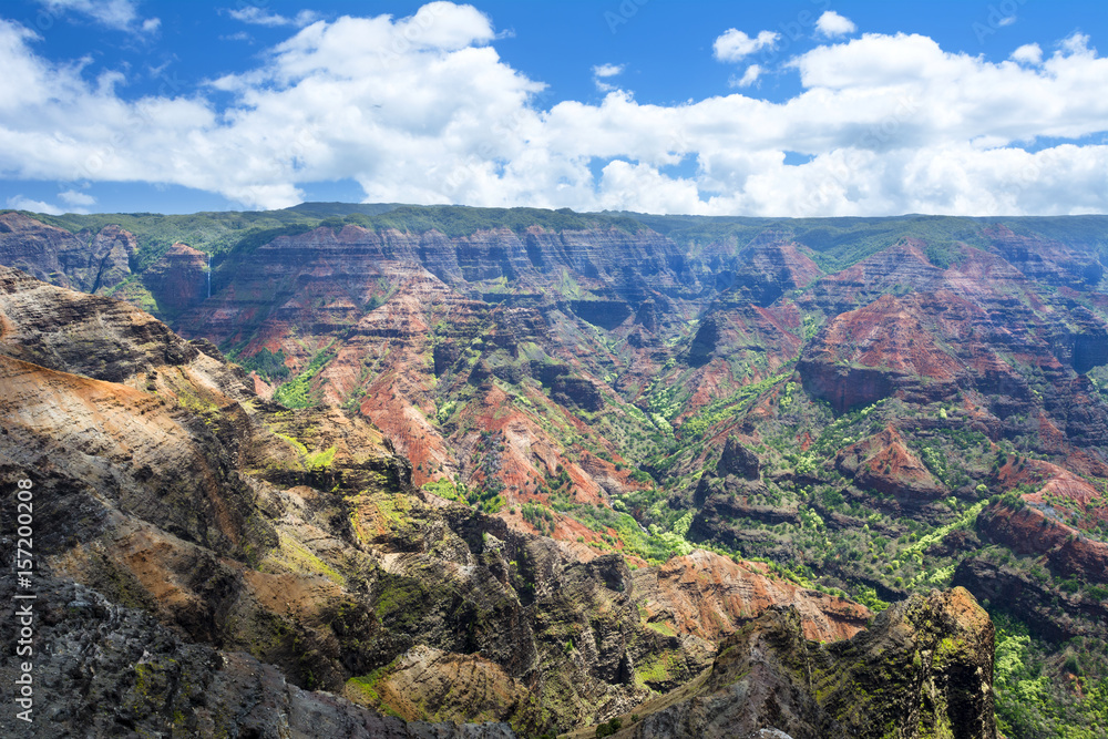 Waimea Canyon Hawaii