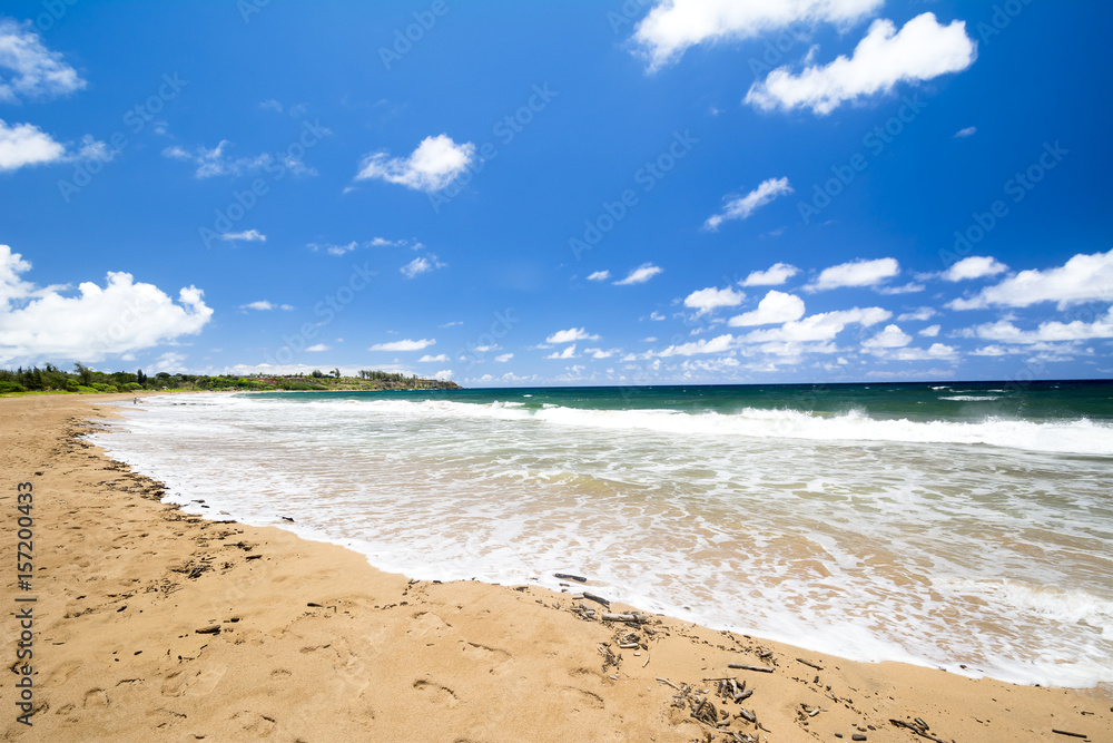 Fototapeta premium Tropical Hawaiian Beach