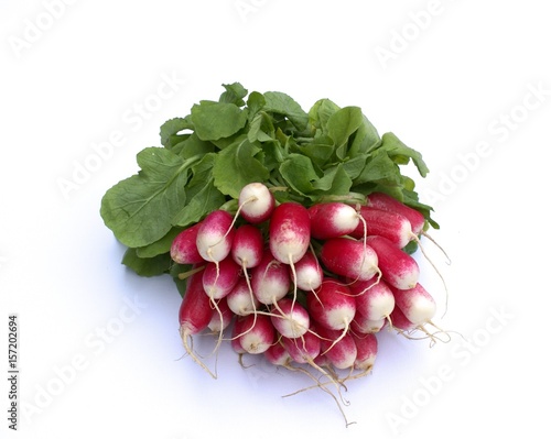 Bunch of long red radish on a white background.