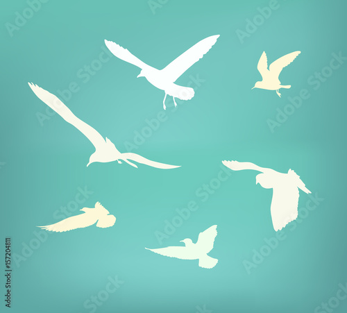 Seagull flying silhouette © kukies