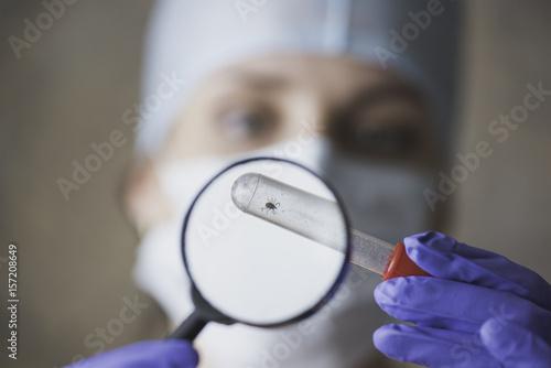 The doctor examines through a magnifying glass a test tube with a tick photo