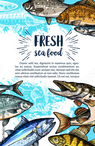 Seafood and freshwater fish sketch banner