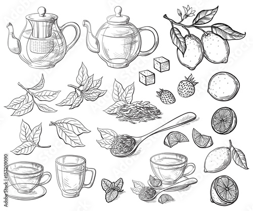 Collection of tea leaves. Green, black, Pekoe tea in graphic style, hand-drawn vector illustration