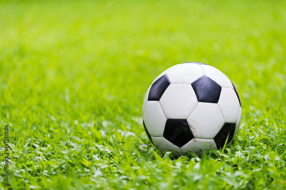Fototapeta premium football on green grass background