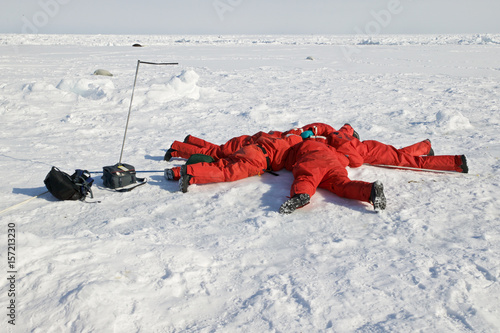 Investigating a Harp seal (Phoca groenlandica) blow hole photo